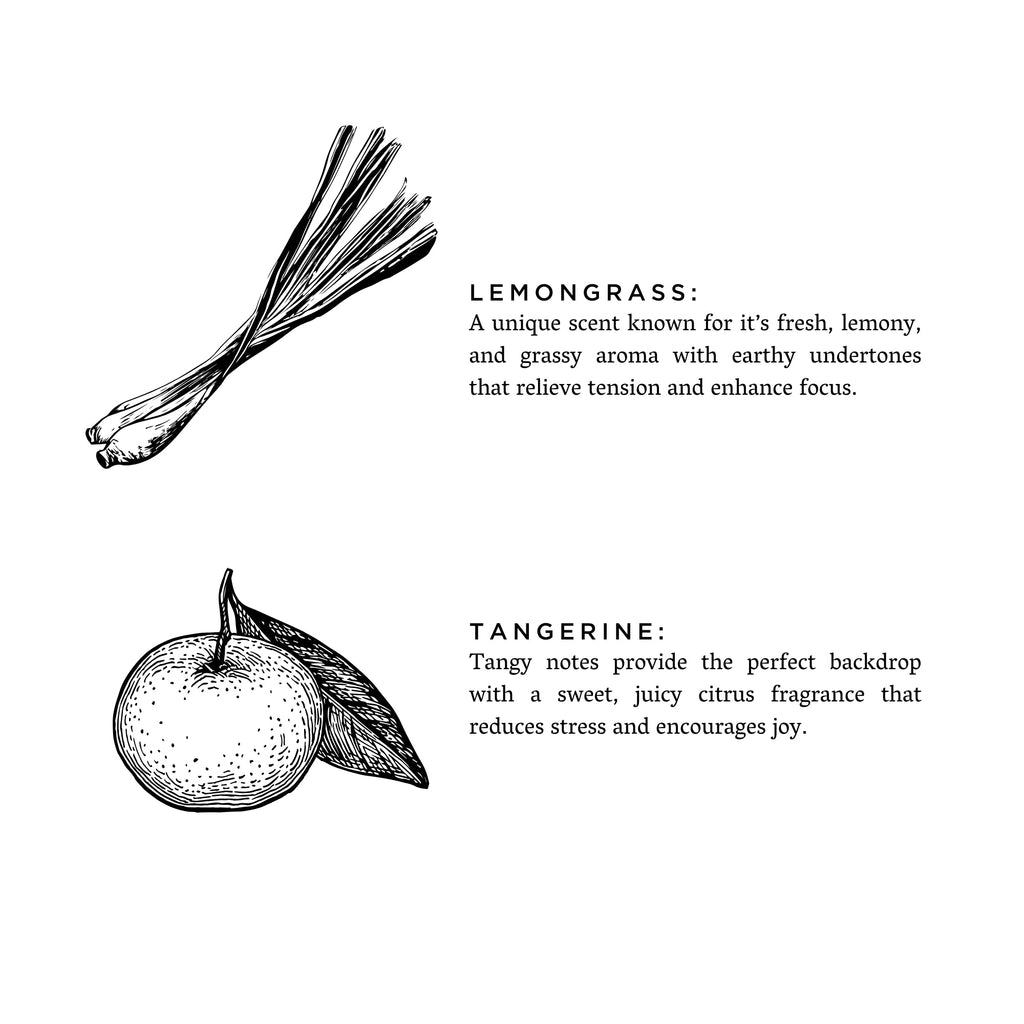 Lemongrass + Tangerine - Signature Candle
